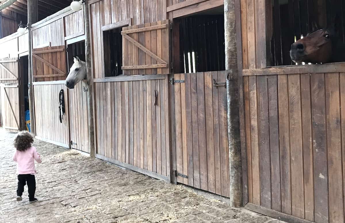 Hotéis Fazenda: boas opções em promoção para viajar com bebês e crianças