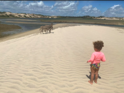 Passeio de buggy no Ceará