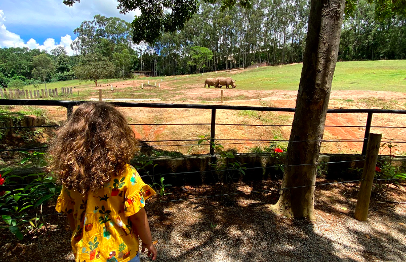 Itatiba: maior zoológico privado do Brasil para visitar com bebês e crianças