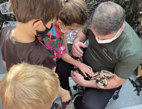 Experiência de educação ambiental para crianças em São Paulo