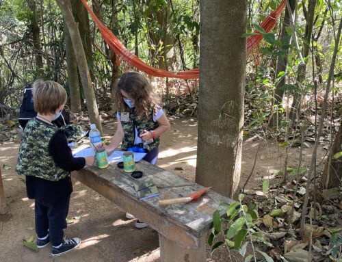 Campinas: picnic tranquilo e no meio da natureza com crianças