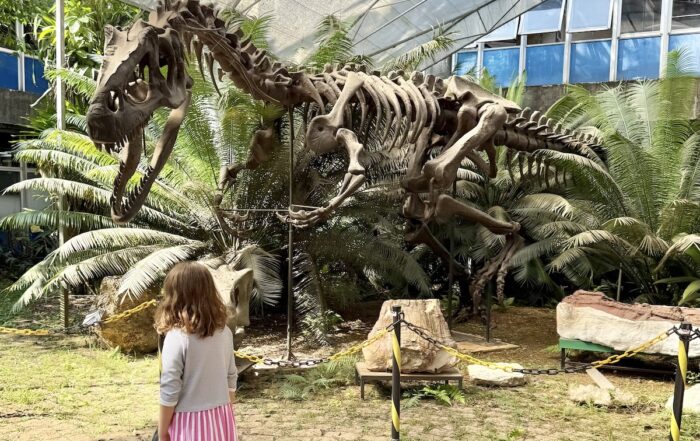 Museu de Geociências da USP