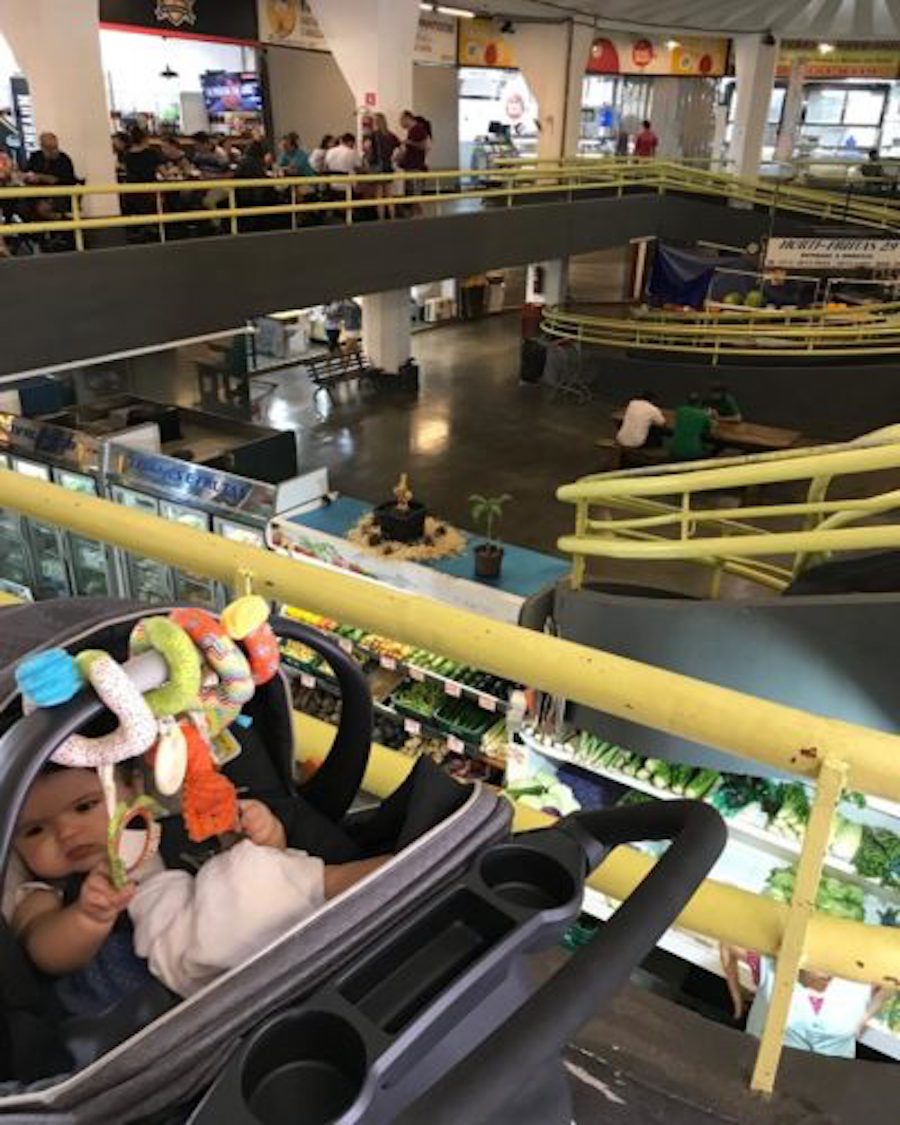 Passeio Na Dinolândia - Livrarias Curitiba