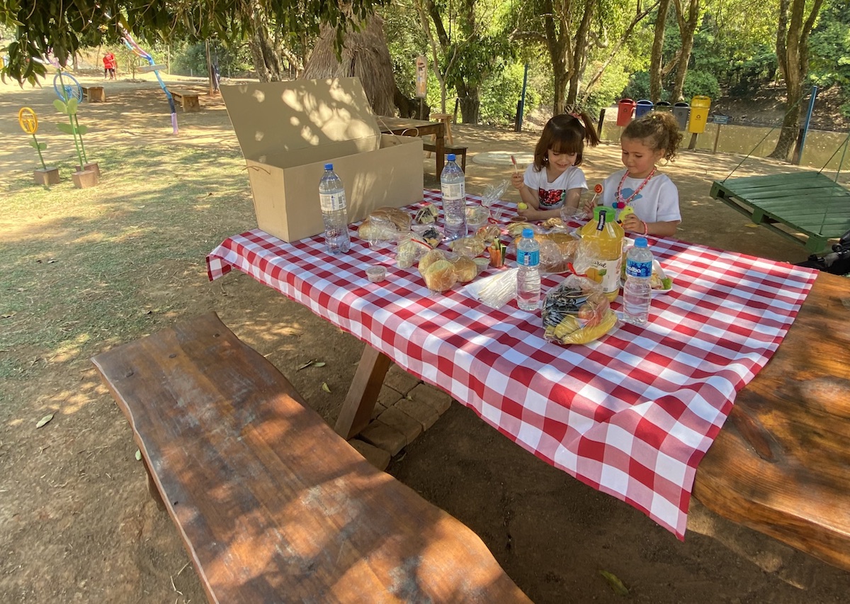 São Paulo: locais ao ar livre e na natureza para fazer picnic com crianças