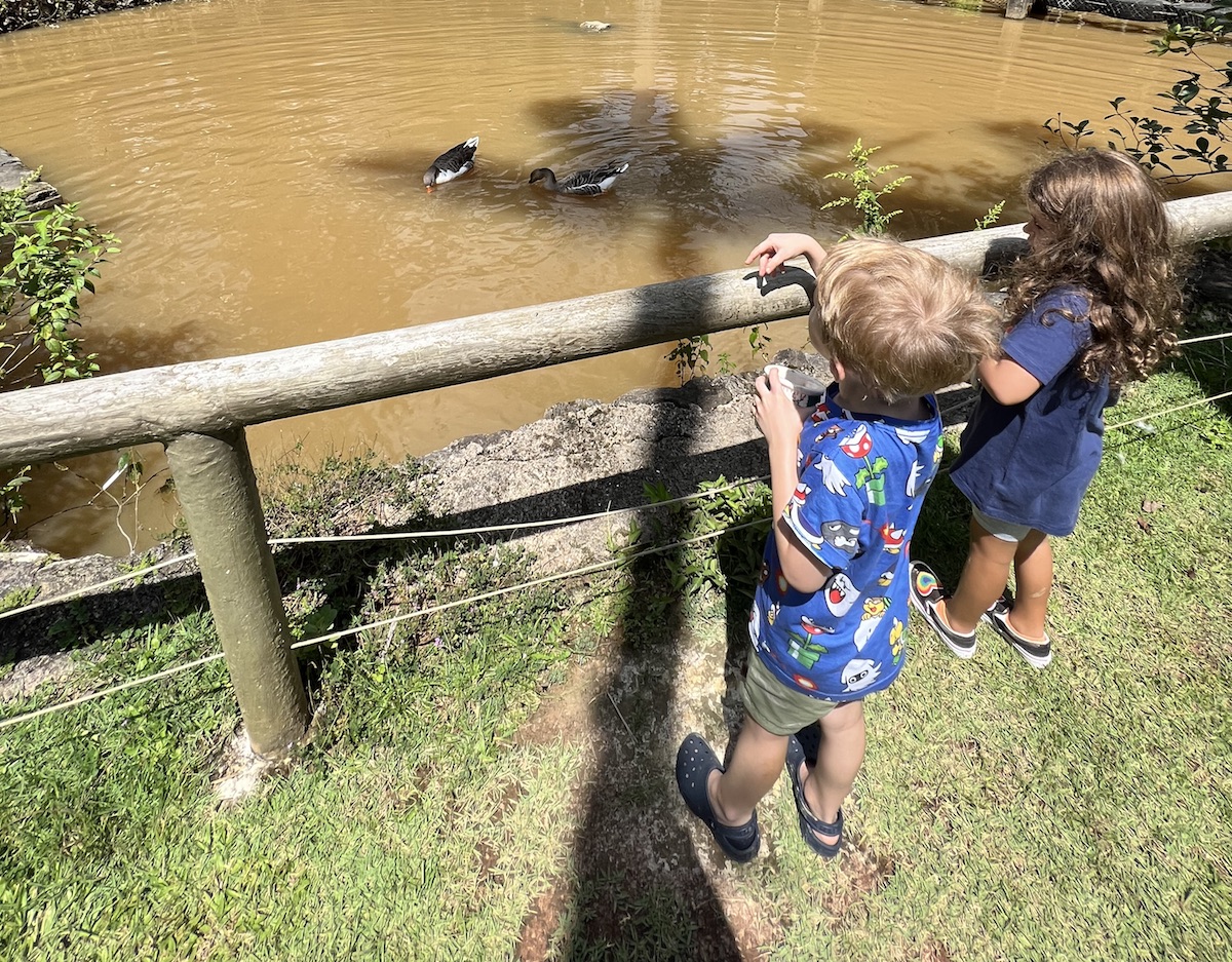 Espaço de lazer no meio da Mata Atlântica para visitar com crianças em Juquitiba (SP)