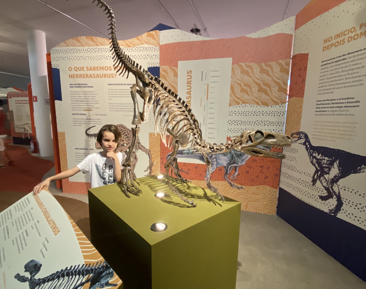 Expo Dinos: passeio interativo e repleto de conhecimento para ir em família