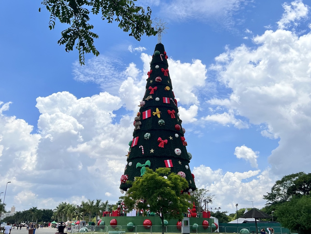 Dicas de passeios para aproveitar o Natal com crianças em São Paulo