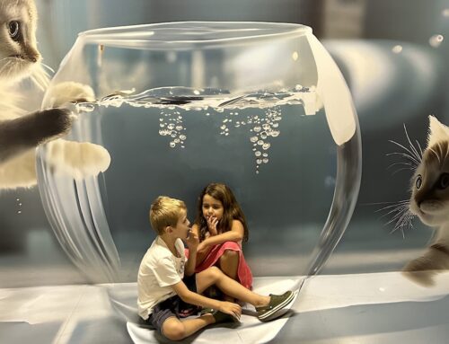 Museu das Ilusões: novas atrações e espaços para curtir com crianças