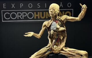 Exposição Corpo Humano: incrível e educativa para ir com crianças em SP