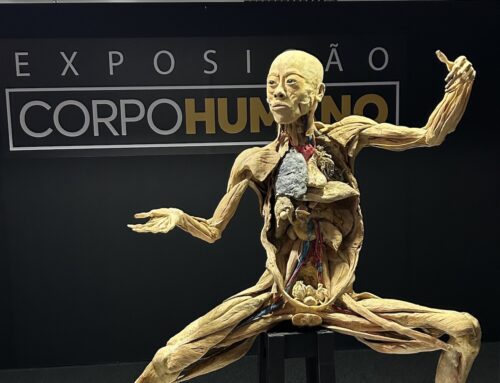 Exposição Corpo Humano: incrível e educativa para ir com crianças em SP