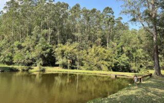 Jundiaí: restaurante na Serra do Japi para visitar com crianças