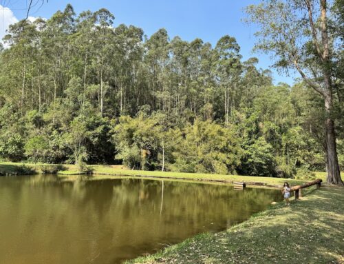 Jundiaí: restaurante na Serra do Japi para visitar com crianças