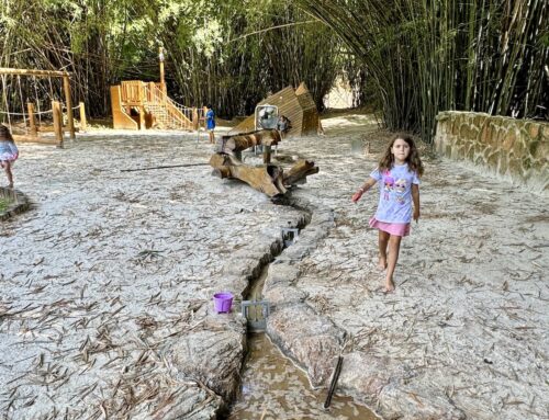 Campinas: restaurante com parquinho e recreação para crianças em SP