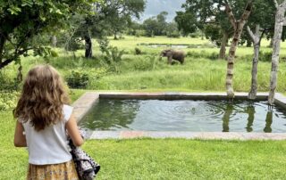 Guia África do Sul: tudo sobre viajar com crianças