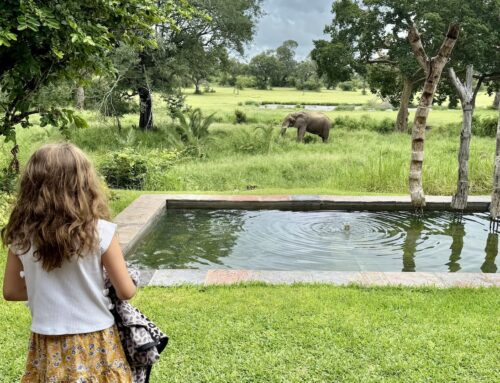 Guia África do Sul: tudo sobre viajar com crianças