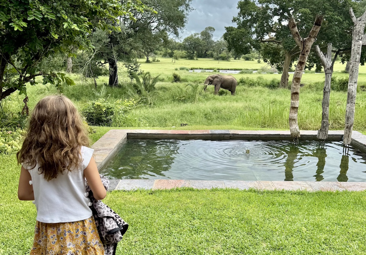 Guia África do Sul: tudo sobre viajar com crianças
