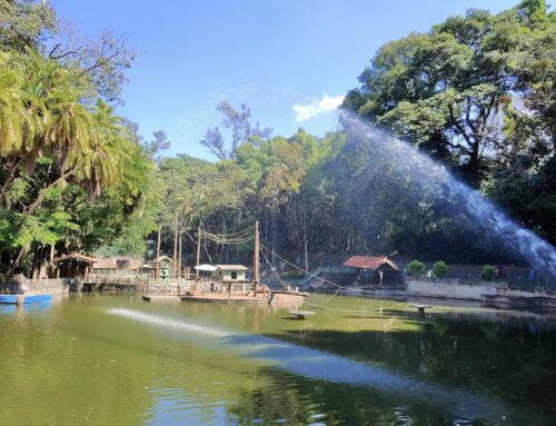 Campinas: 11 passeios e atividades para crianças