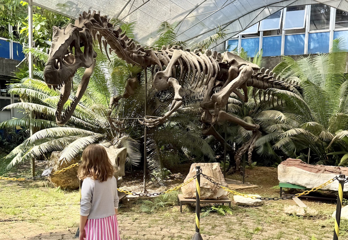 Museu de Geociências da USP reabre com novidades para crianças
