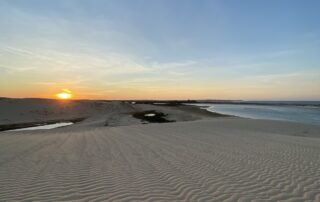 2026: dicas para aproveitar os 12 feriados do ano com crianças