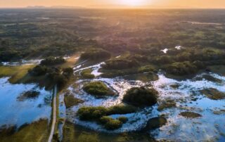Pantanal: melhores hotéis com safáris e passeios com crianças