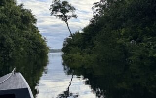 4 dias na floresta Amazônica com crianças