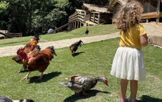 Serra da Mantiqueira: 28 lugares para ir com crianças