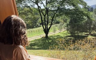 SP: piquenique com queijos artesanais para fazer em família em Cabreúva