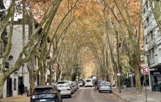 Montevidéu: o que fazer com crianças na capital do Uruguai