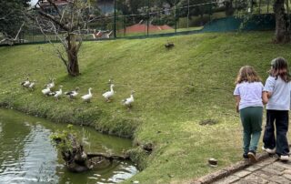 Embu das Artes: um refúgio para famílias a apenas 30 km de São Paulo