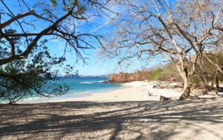 2027: Réveillon e férias de janeiro com bebês e crianças