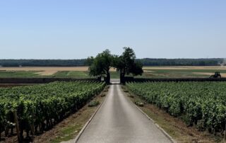 França: viagem de vinhos a Borgonha em família